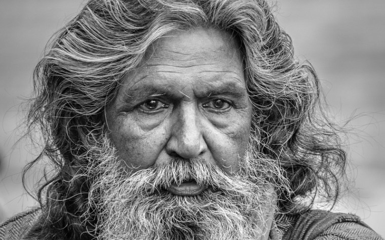 portrait-3052641