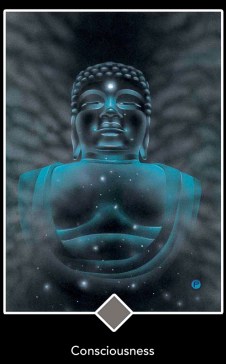 Consiousness