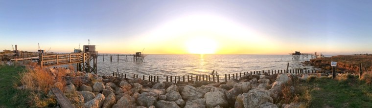 IMG_5073.jpg