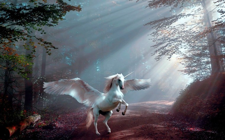 fantasy-4566023