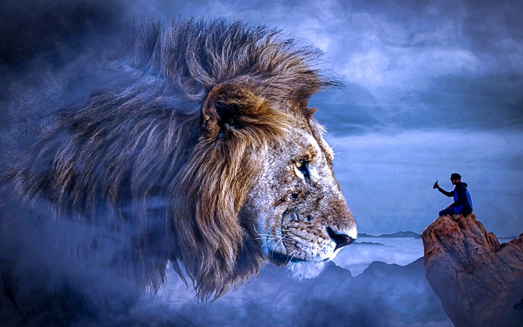 lion-4728270_1920