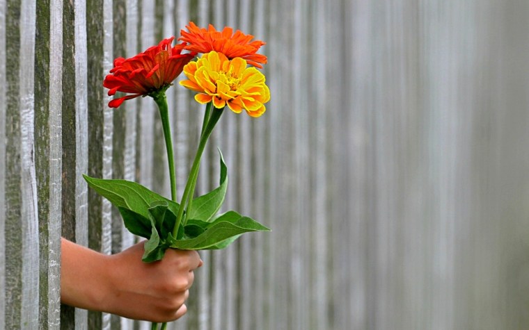hand-1549399_1920