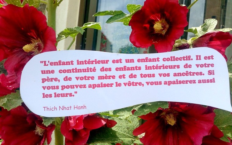 Citation 1