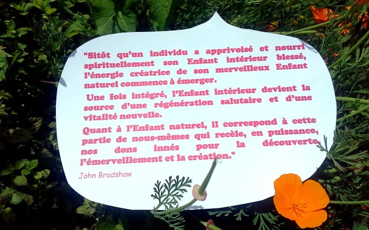 Citation 2