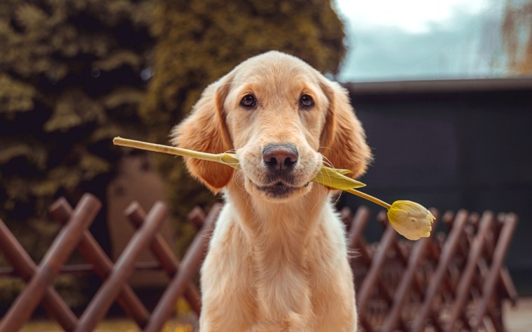 richard-brutyo-Sg3XwuEpybU-unsplash