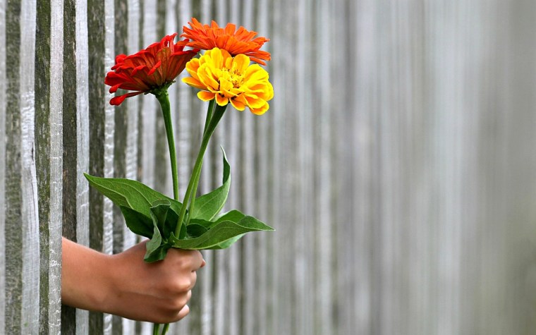 hand-1549399_1920